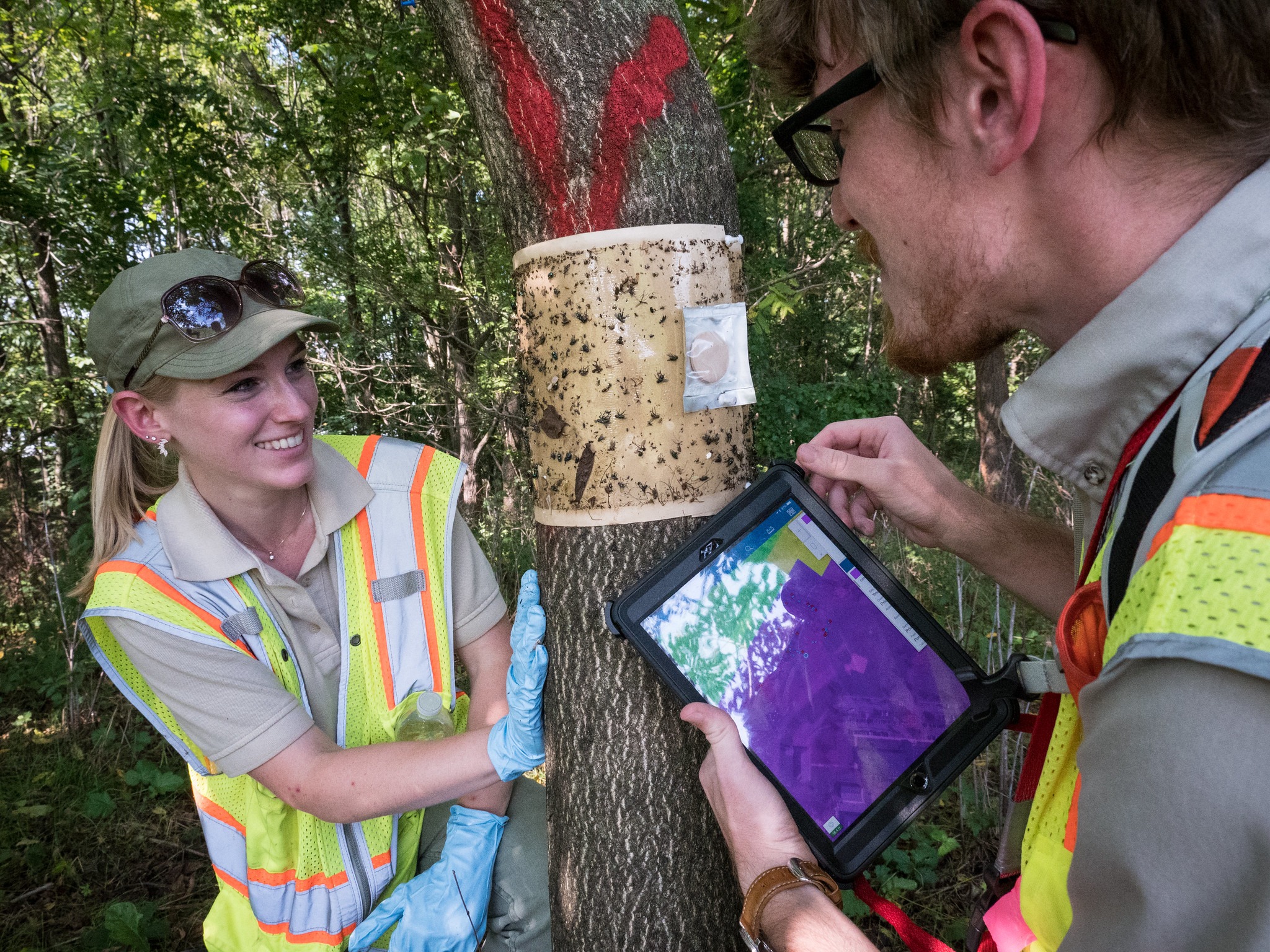 Gis Stem And Social Sciences