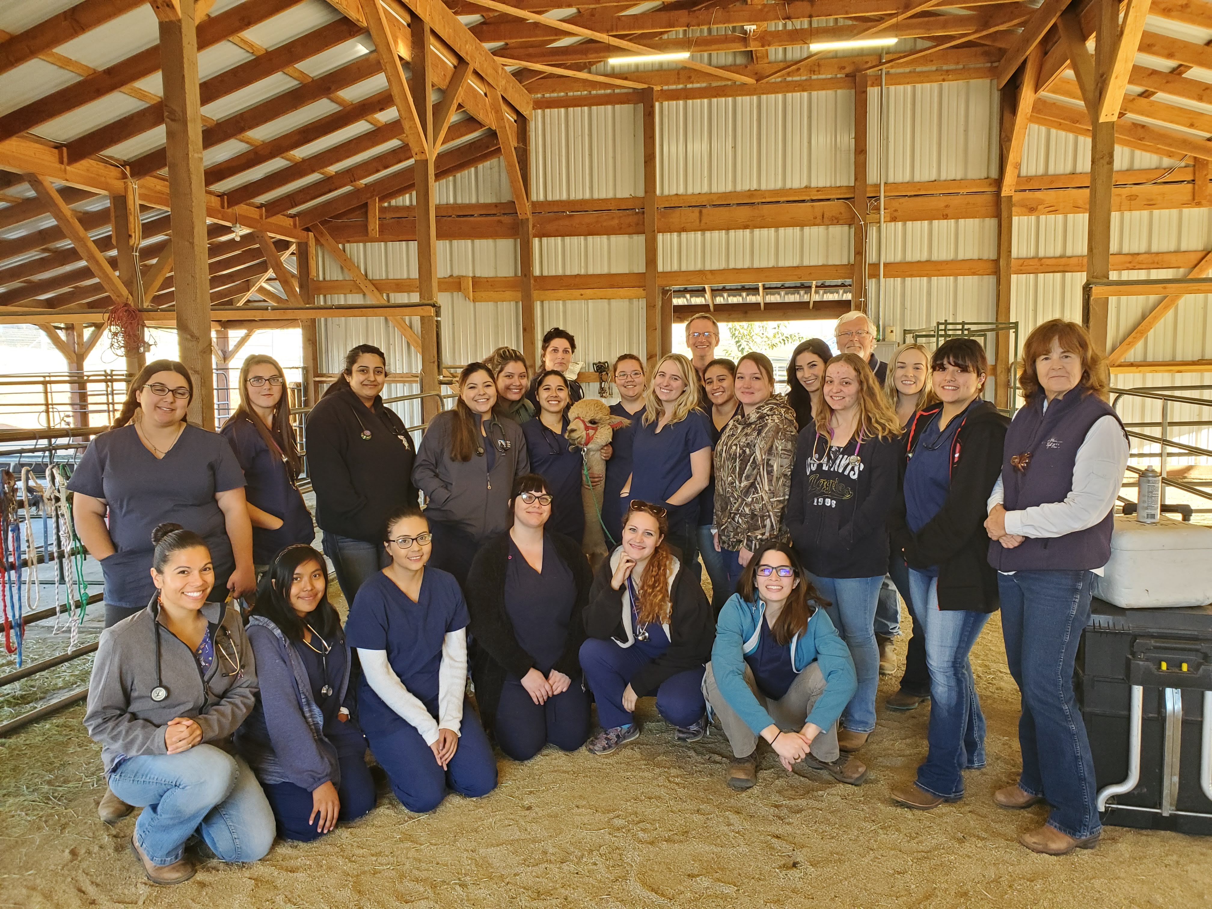 Class of students with an alpaca