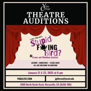 Audition poster